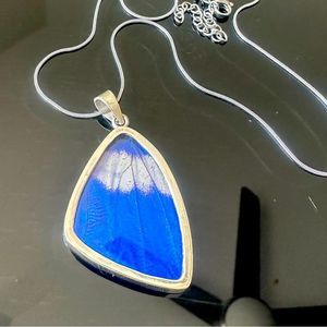 Real Butterfly Wing Jewelry Necklace XL